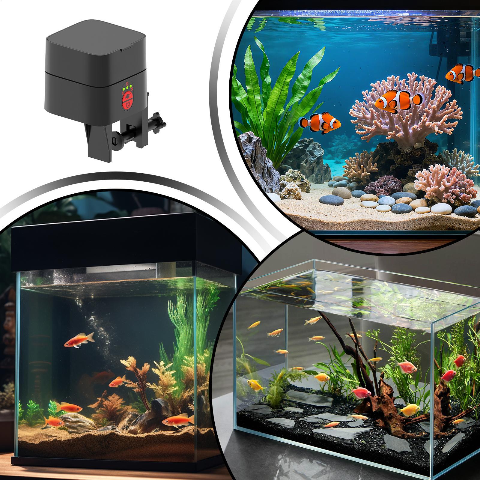 Automatyczny podajnik karmy dl – Fishing Line Dispenser recenzja i cena